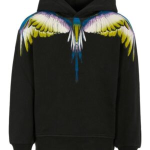 Felpa county of milan