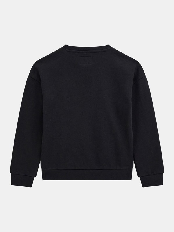 06015183BC688520F4D9B9F3C977B1D9_ Felpa guess