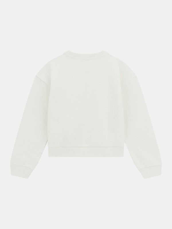 B0D5BEB579600279BF6687808EC8061B_ Felpa guess