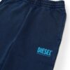 266DF742D77526EAE06D0500DAE7CAB0_ Pantalone diesel