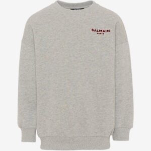 7237E10E0B66E60D4312EE6B5991DC4B_ Felpa balmain