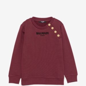 865C13DDE088D01467A158388B84B027_ Felpa balmain