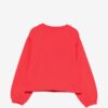 9079F01E429DB3A3F9156D034D9CA037_ Felpa moschino