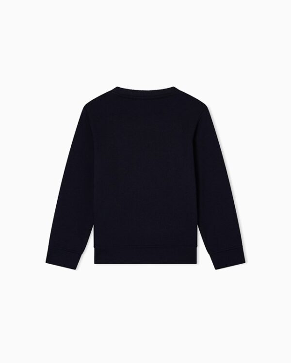 D3EB5393091090318B057079764976DC_ Felpa emporio armani